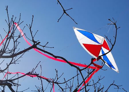 Story Problem – The Kite